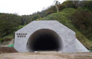 マッカウストンネル(2013年10月)